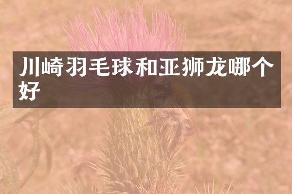 川崎羽毛球和亚狮龙哪个好
