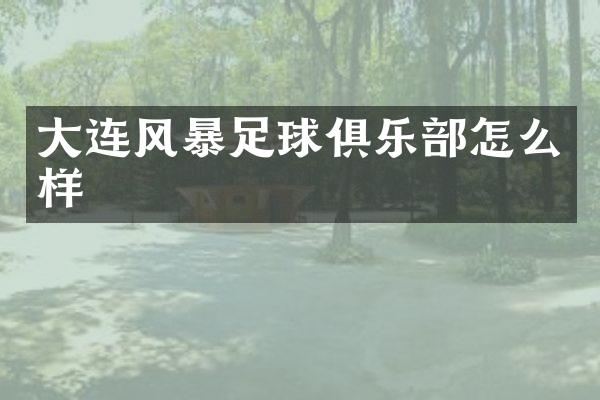 大连风暴足球俱乐部怎么样