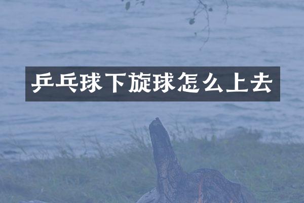 乒乓球下旋球怎么上去