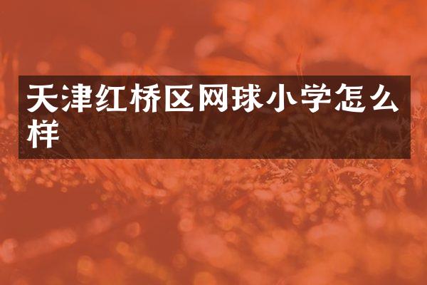 天津红桥区网球小学怎么样