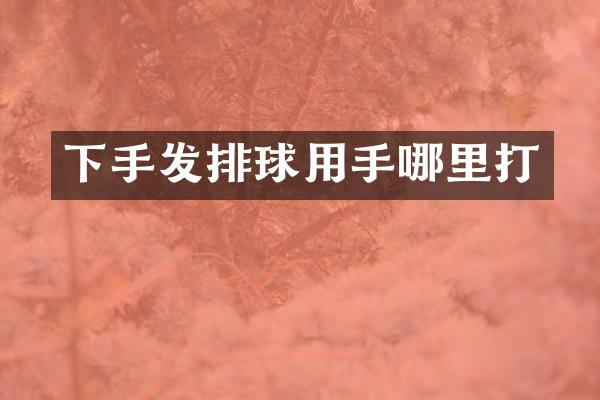 下手发排球用手哪里打