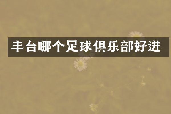 丰台哪个足球俱乐部好进