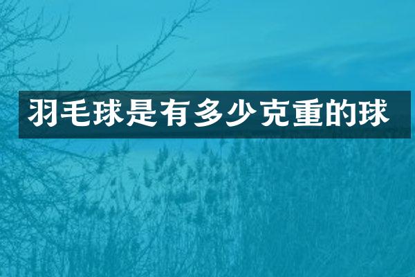 羽毛球是有多少克重的球