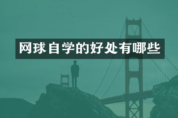 网球自学的好处有哪些