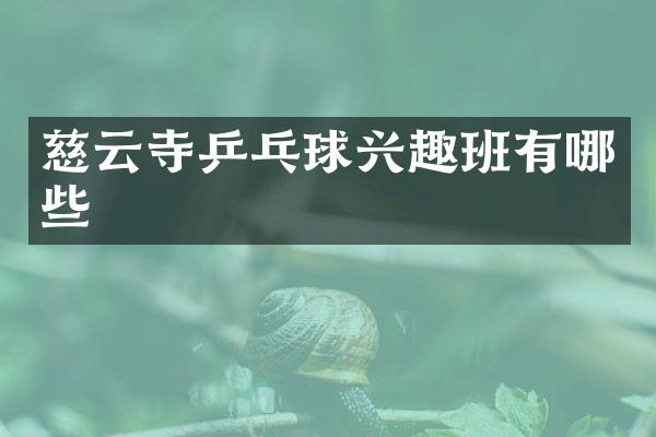 慈云寺乒乓球兴趣班有哪些