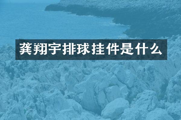 龚翔宇排球挂件是什么