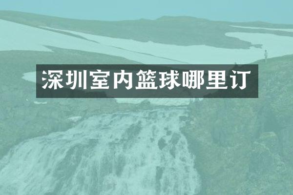 深圳室内篮球哪里订