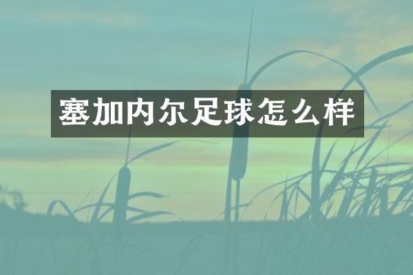 塞加内尔足球怎么样