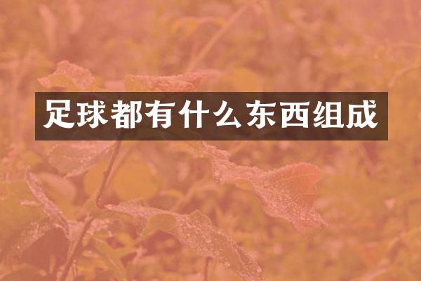 足球都有什么东西组成