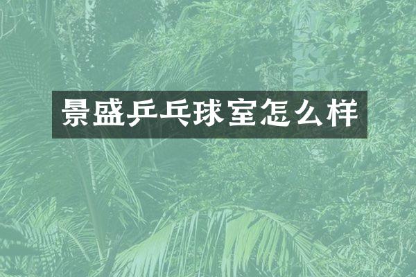 景盛乒乓球室怎么样