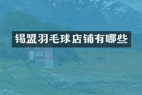 锡盟羽毛球店铺有哪些