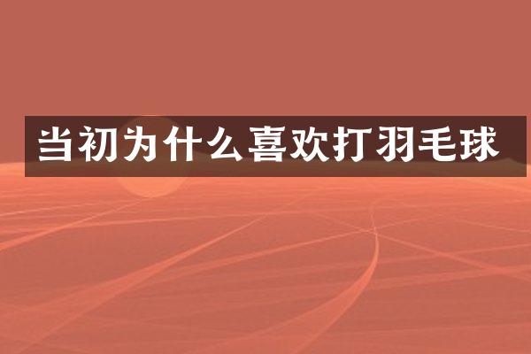 当初为什么喜欢打羽毛球