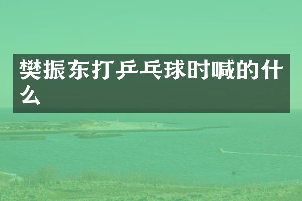 樊振东打乒乓球时喊的什么