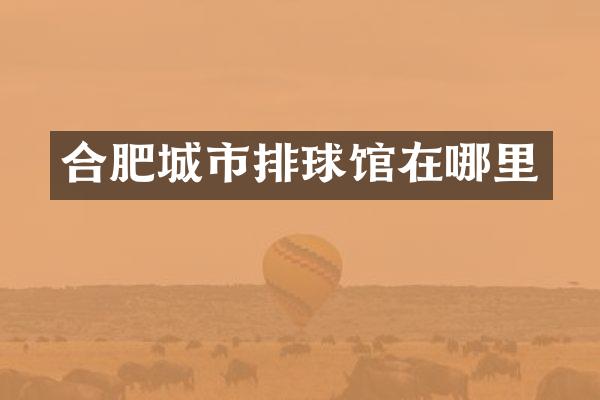 合肥城市排球馆在哪里