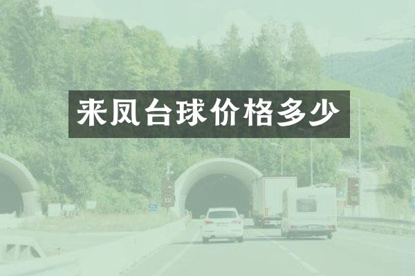 来凤台球价格多少