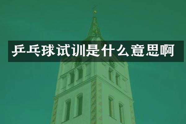 乒乓球试训是什么意思啊