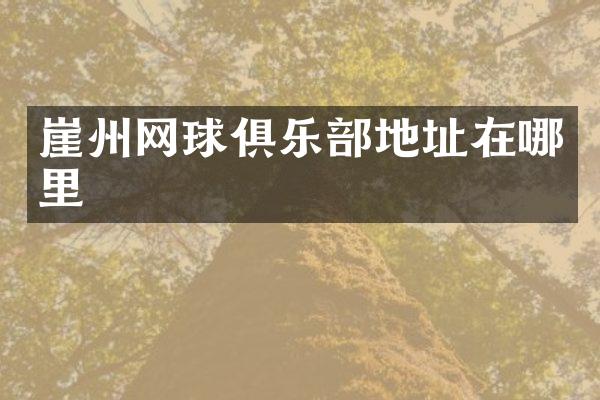 崖州网球俱乐部地址在哪里