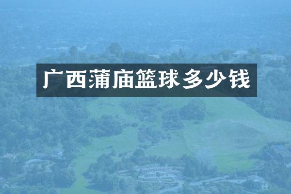 广西蒲庙篮球多少钱