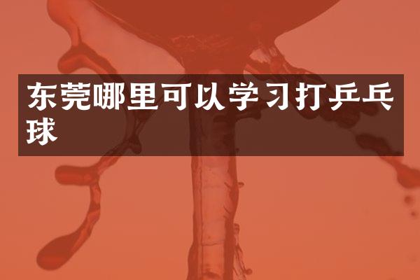 东莞哪里可以学习打乒乓球