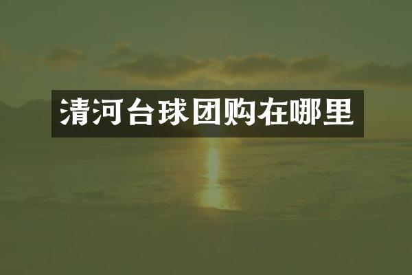 清河台球团购在哪里