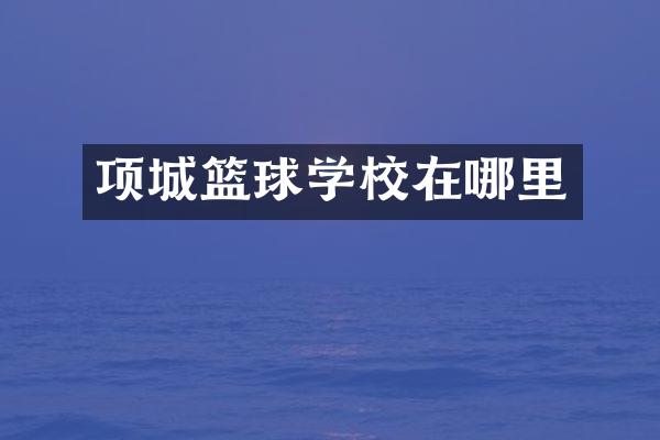项城篮球学校在哪里