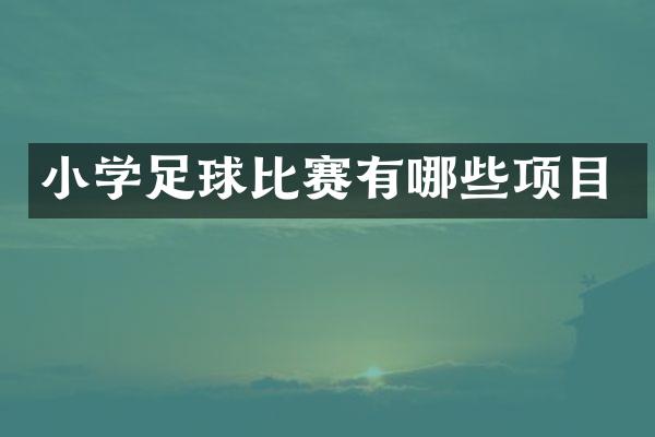 小学足球比赛有哪些项目