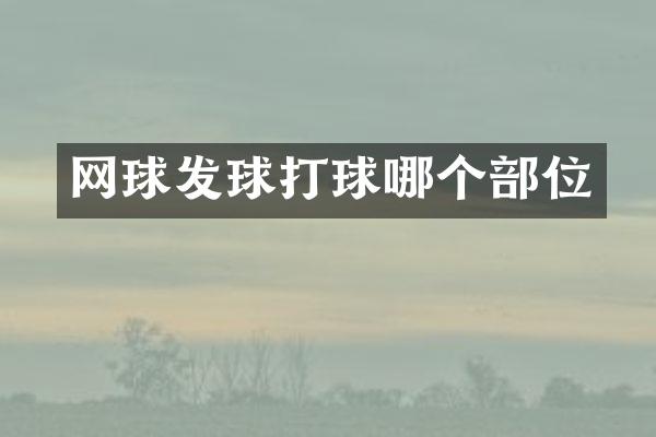 网球发球打球哪个部位