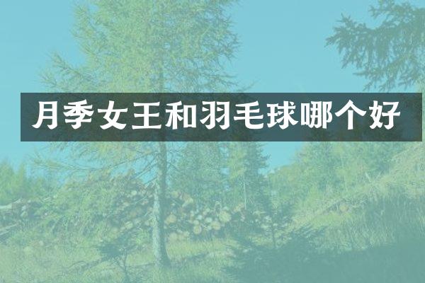 月季女王和羽毛球哪个好