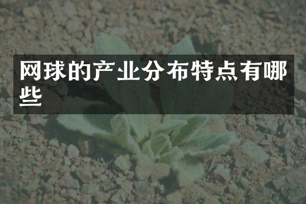 网球的产业分布特点有哪些