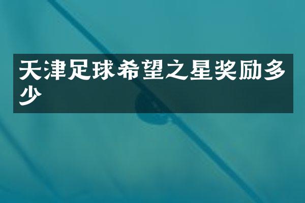 天津足球希望之星奖励多少