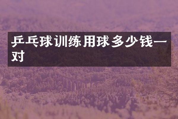 乒乓球训练用球多少钱一对