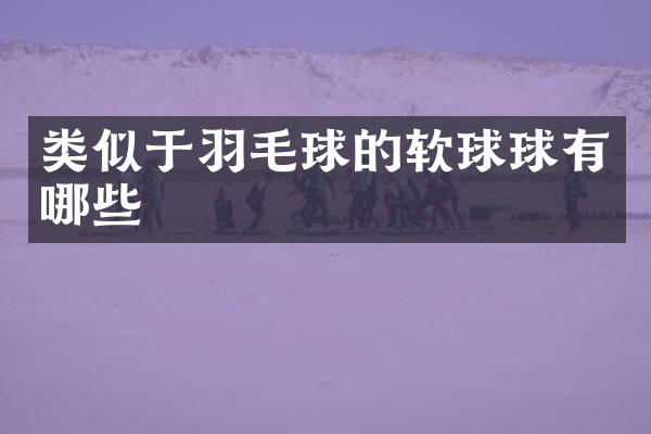 类似于羽毛球的软球球有哪些