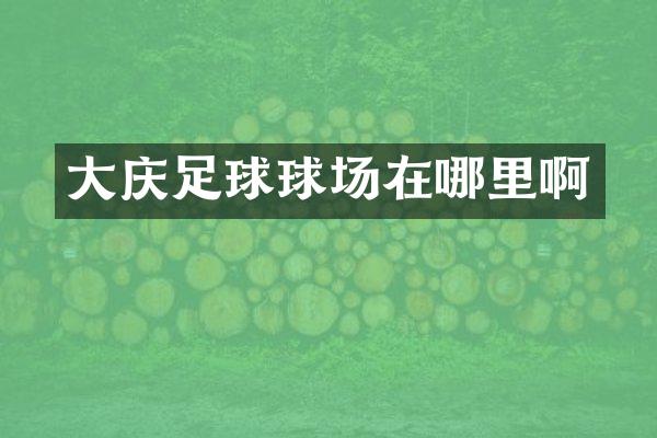 大庆足球球场在哪里啊