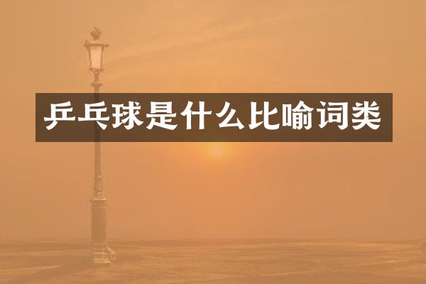 乒乓球是什么比喻词类