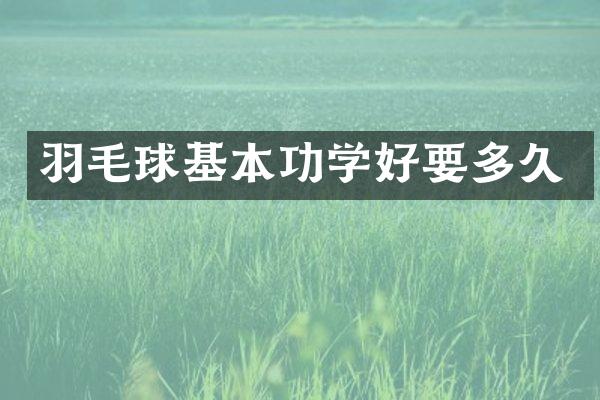 羽毛球基本功学好要多久