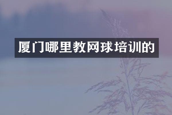 厦门哪里教网球培训的