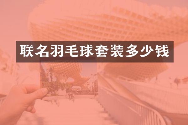联名羽毛球套装多少钱