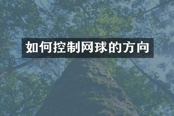 如何控制网球的方向