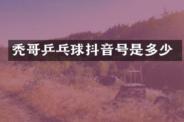秃哥乒乓球抖音号是多少