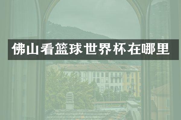 佛山看篮球世界杯在哪里