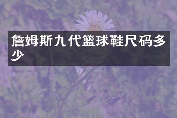詹姆斯九代篮球鞋尺码多少