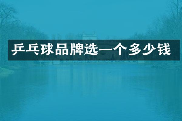 乒乓球品牌选一个多少钱