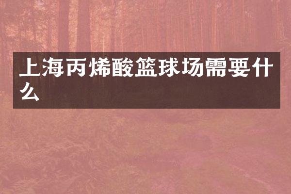 上海丙烯酸篮球场需要什么
