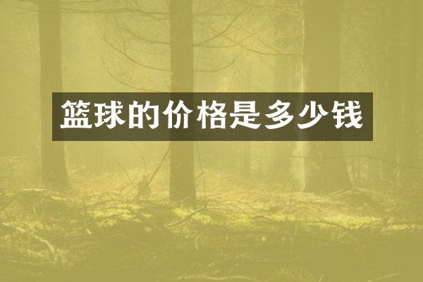 篮球的价格是多少钱