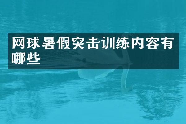 网球暑假突击训练内容有哪些