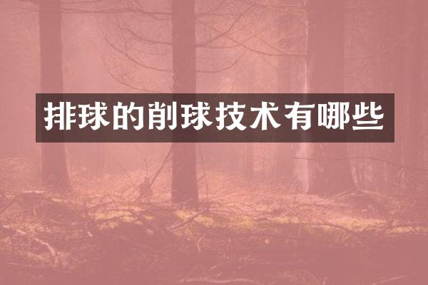 排球的削球技术有哪些