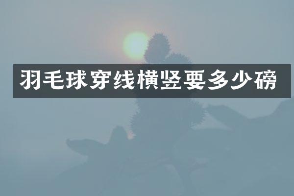 羽毛球穿线横竖要多少磅