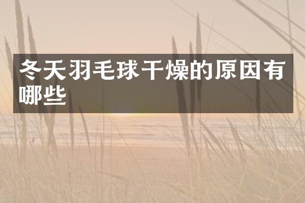 冬天羽毛球干燥的原因有哪些
