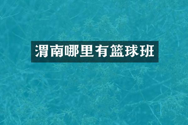 渭南哪里有篮球班