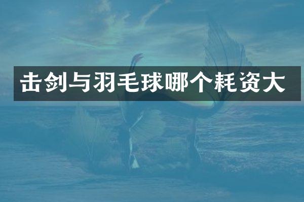 击剑与羽毛球哪个耗资大